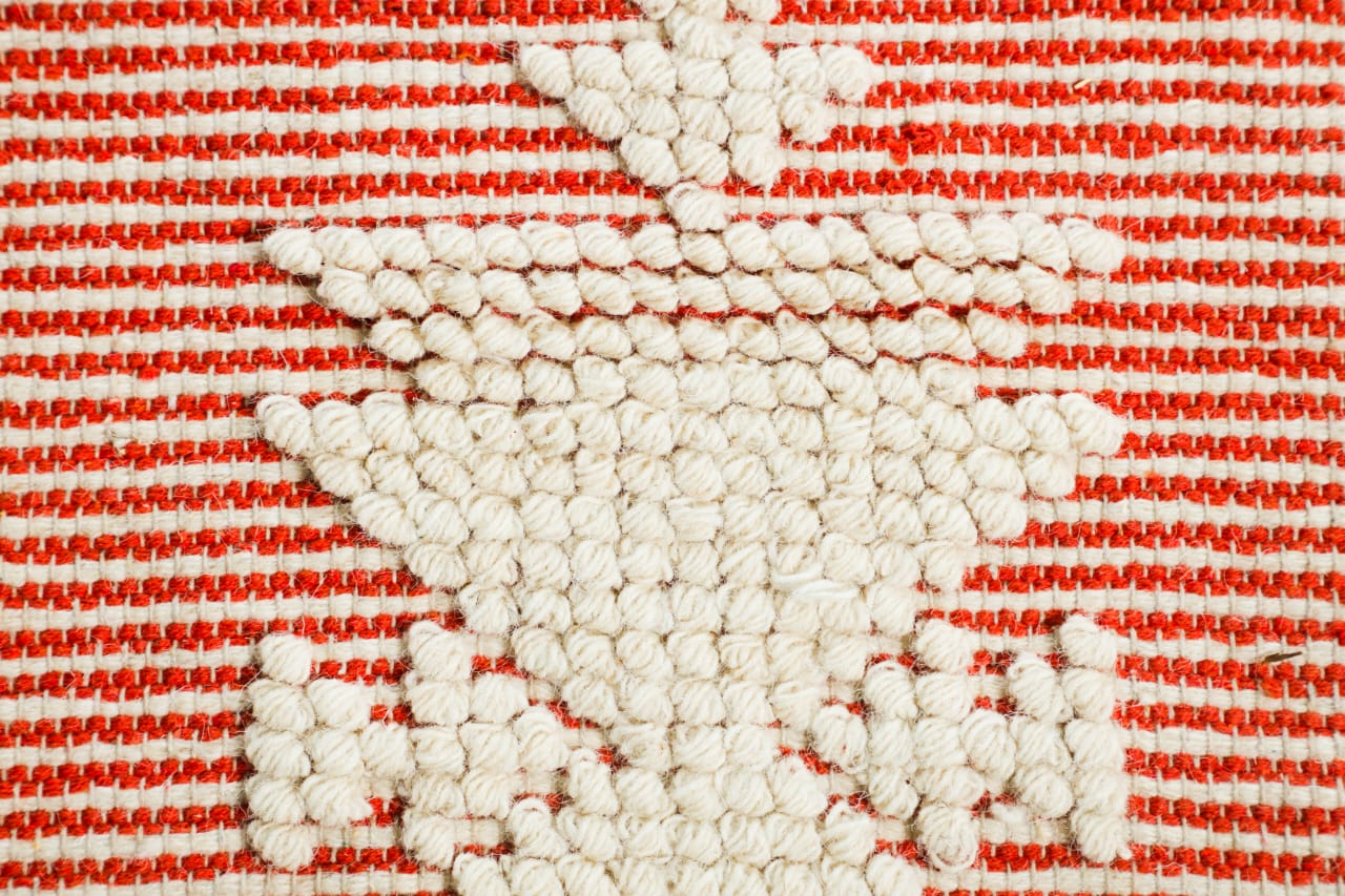 WhatsApp Image 2026-01-03 at 6.05.53 PM